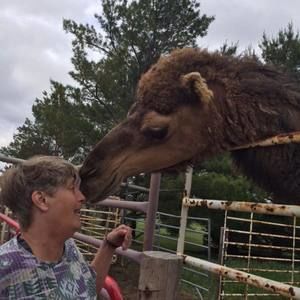 Meet your Posher, Pam